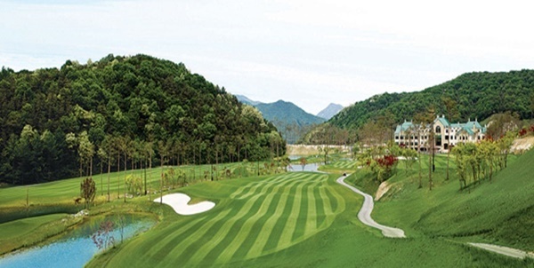 1dc1ac9a4509103fa528090fda023550_1483579