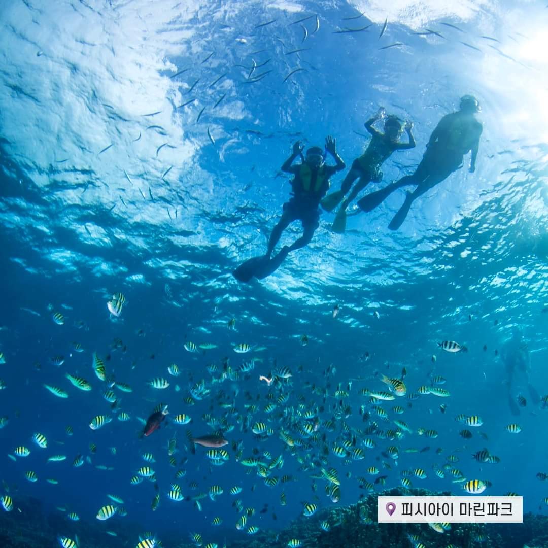 864c90057ff93dcf2954a285ac01bd96_1724730