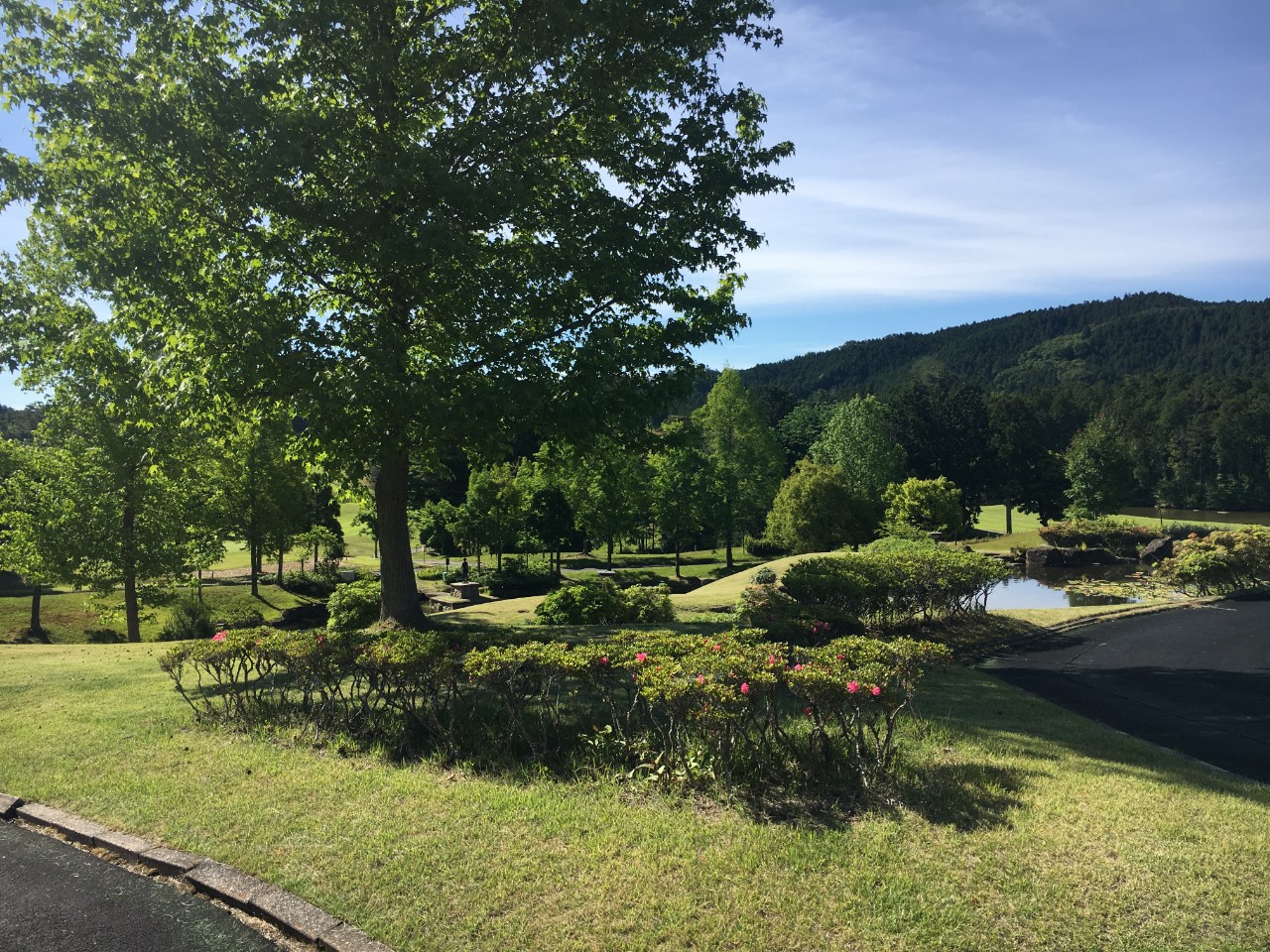 일본 나고야 벨그라비아cc