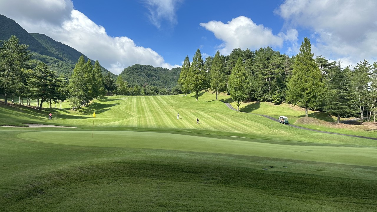 마쓰야마 특가 GOLF
