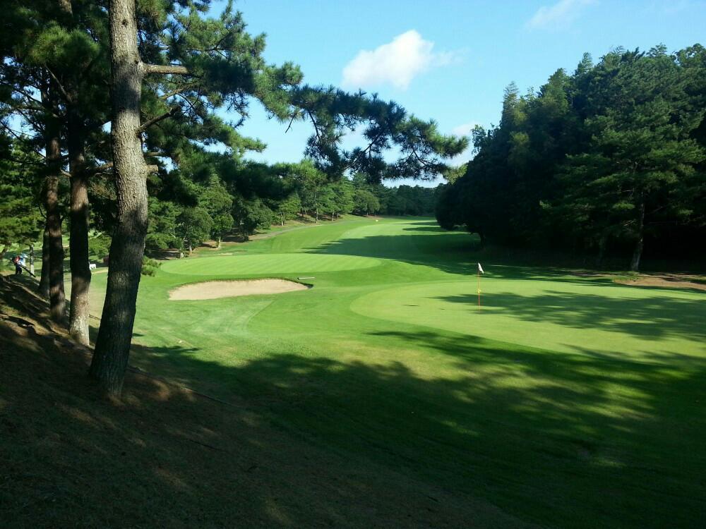 일본 동경'특가'골프