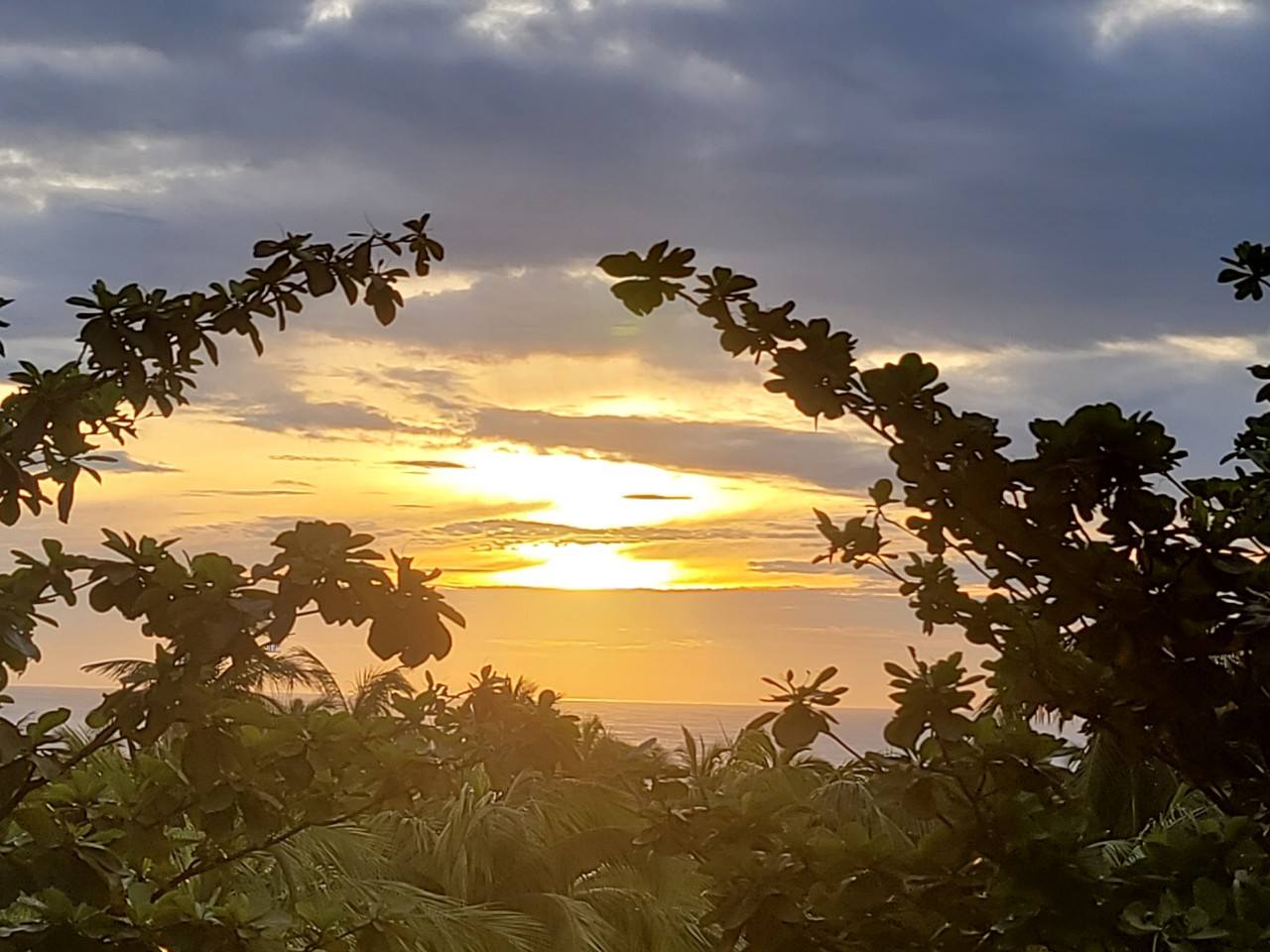 베트남 다낭 3색 품격골프