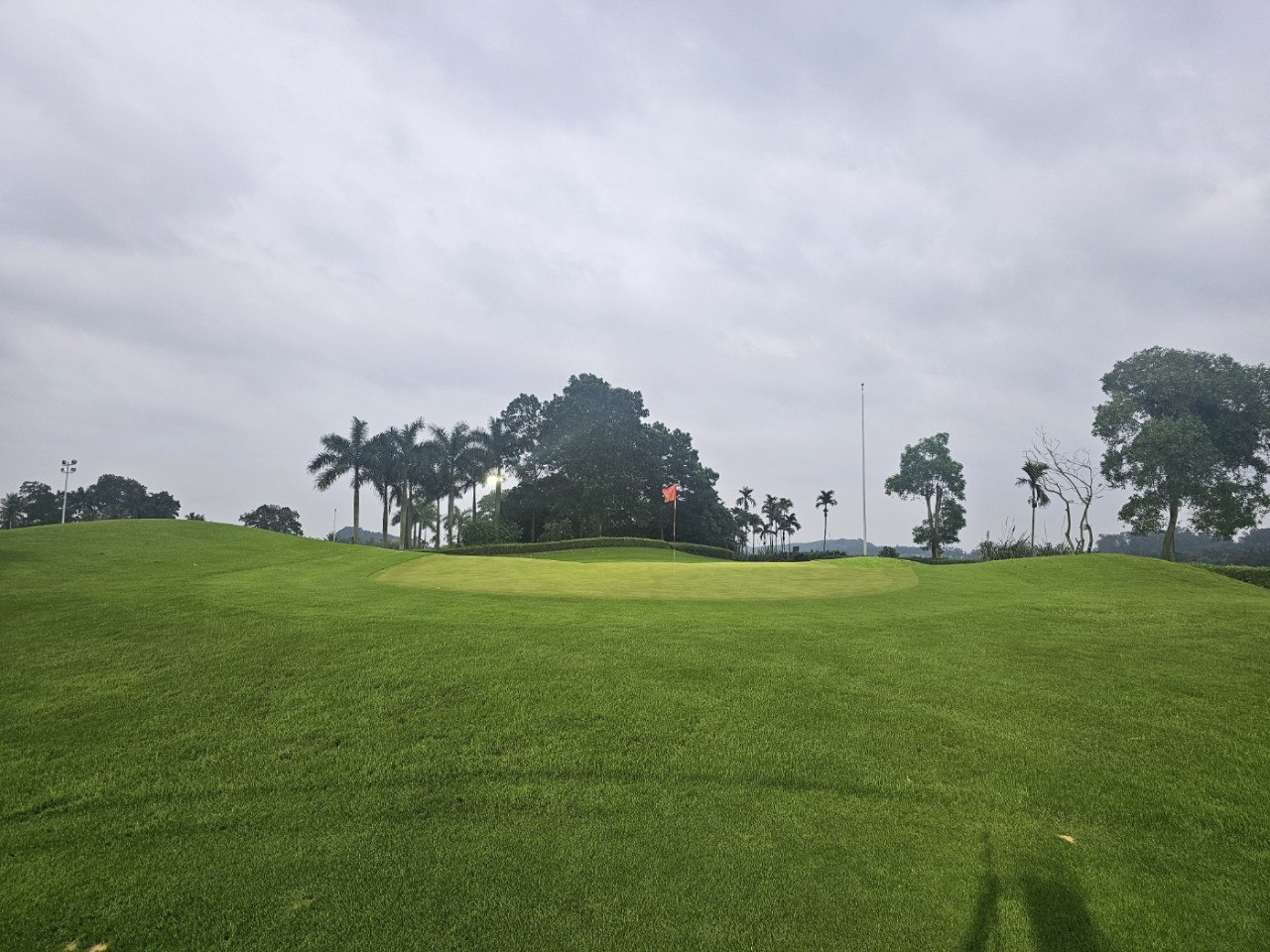 하노이 소노펠리체cc