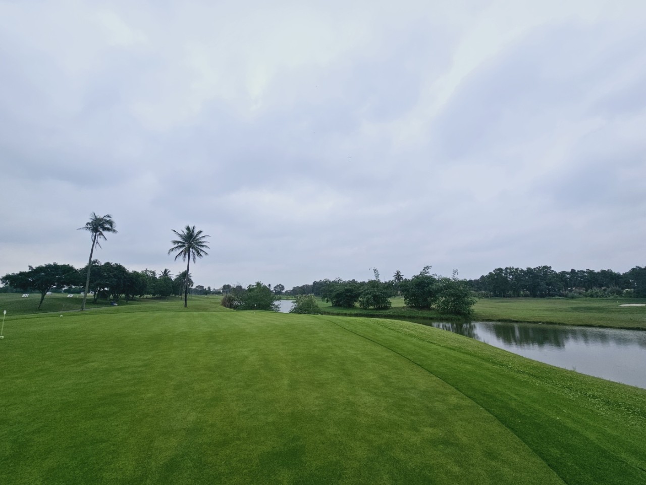 하노이 소노펠리체cc