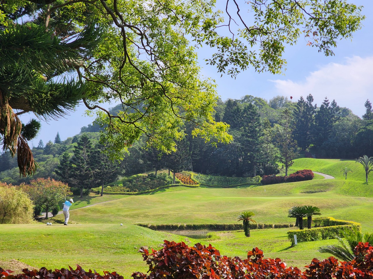 대만 신죽 자유골프