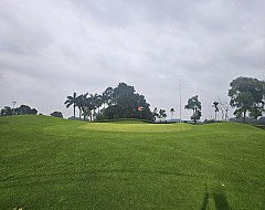 하노이 소노펠리체cc