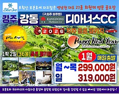 경주 디아너스c.c